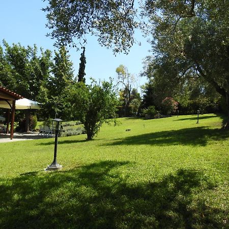 Konstantinos'S Luxury Residence Sani Sani  Buitenkant foto