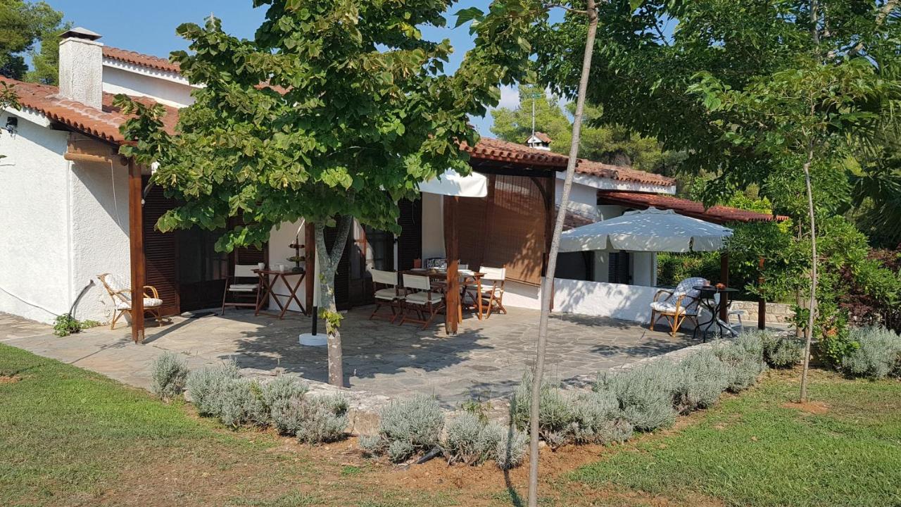 Konstantinos'S Luxury Residence Sani Sani  Buitenkant foto