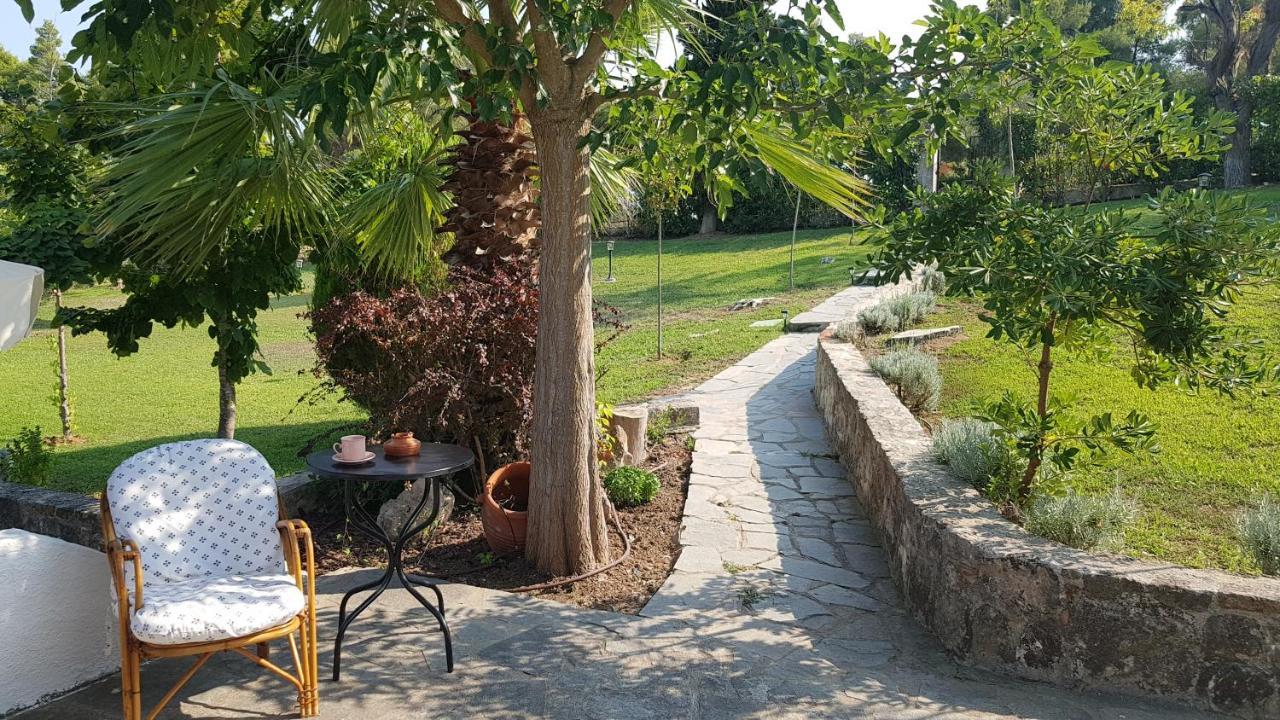 Konstantinos'S Luxury Residence Sani Sani  Buitenkant foto