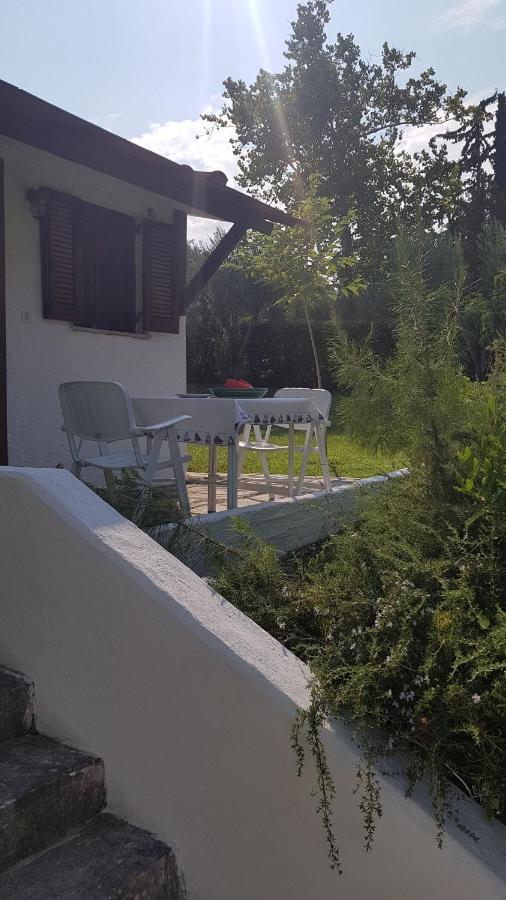 Konstantinos'S Luxury Residence Sani Sani  Buitenkant foto