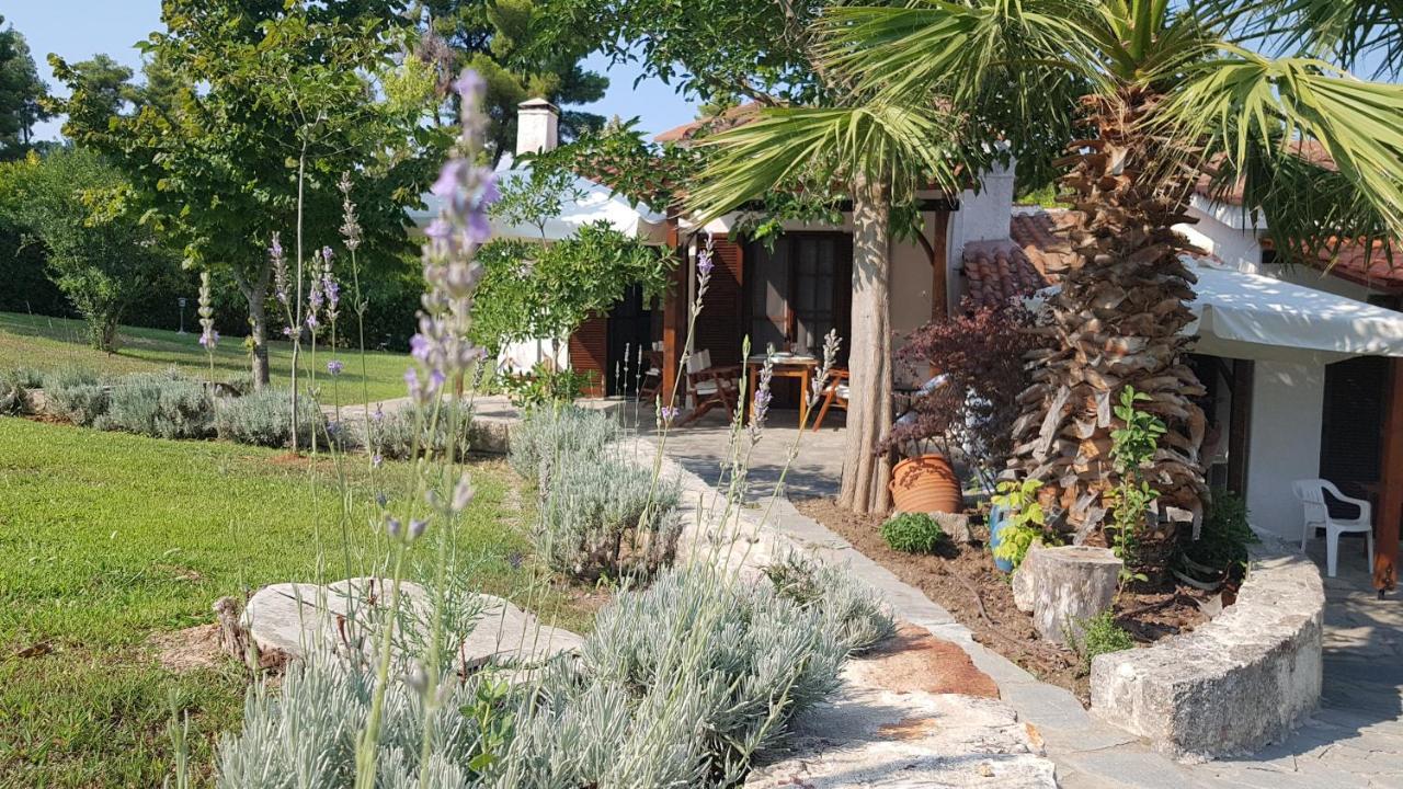 Konstantinos'S Luxury Residence Sani Sani  Buitenkant foto