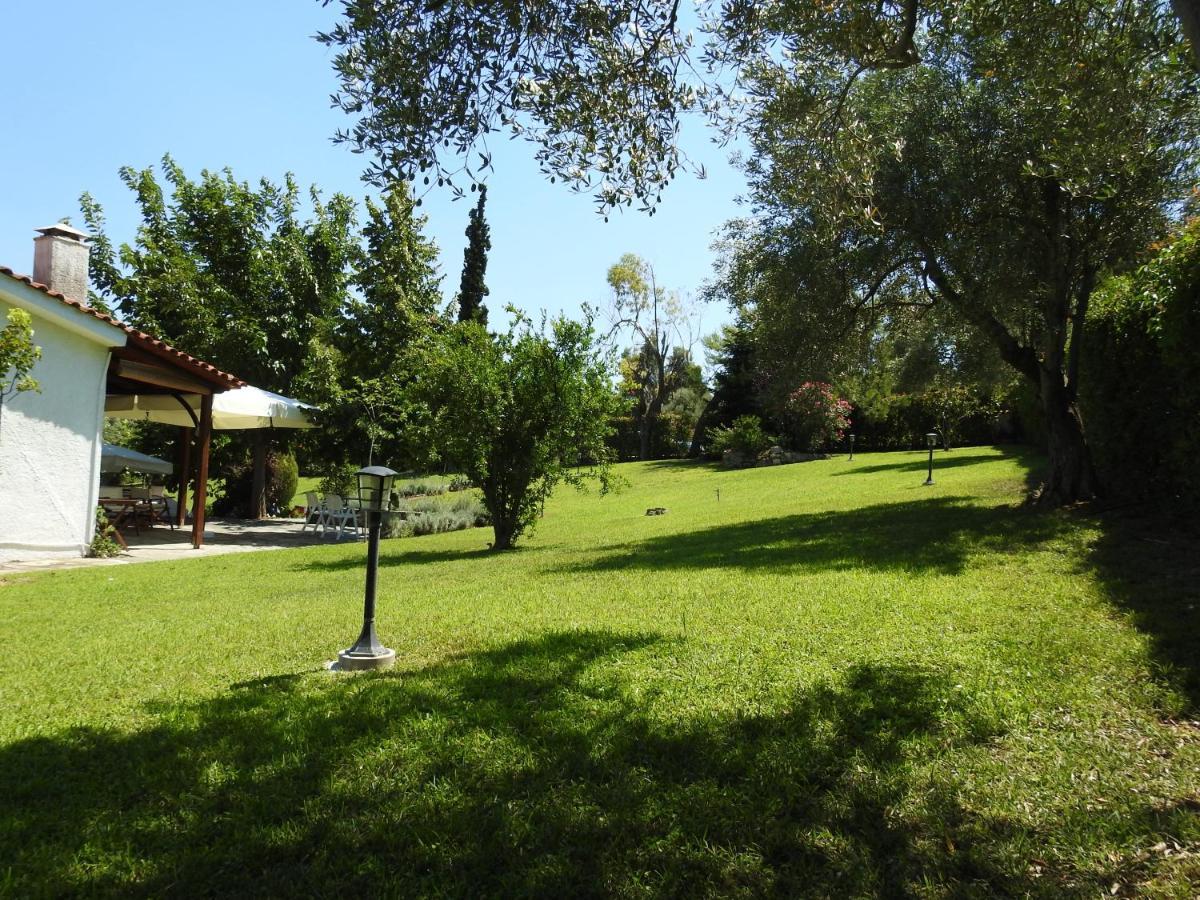 Konstantinos'S Luxury Residence Sani Sani  Buitenkant foto